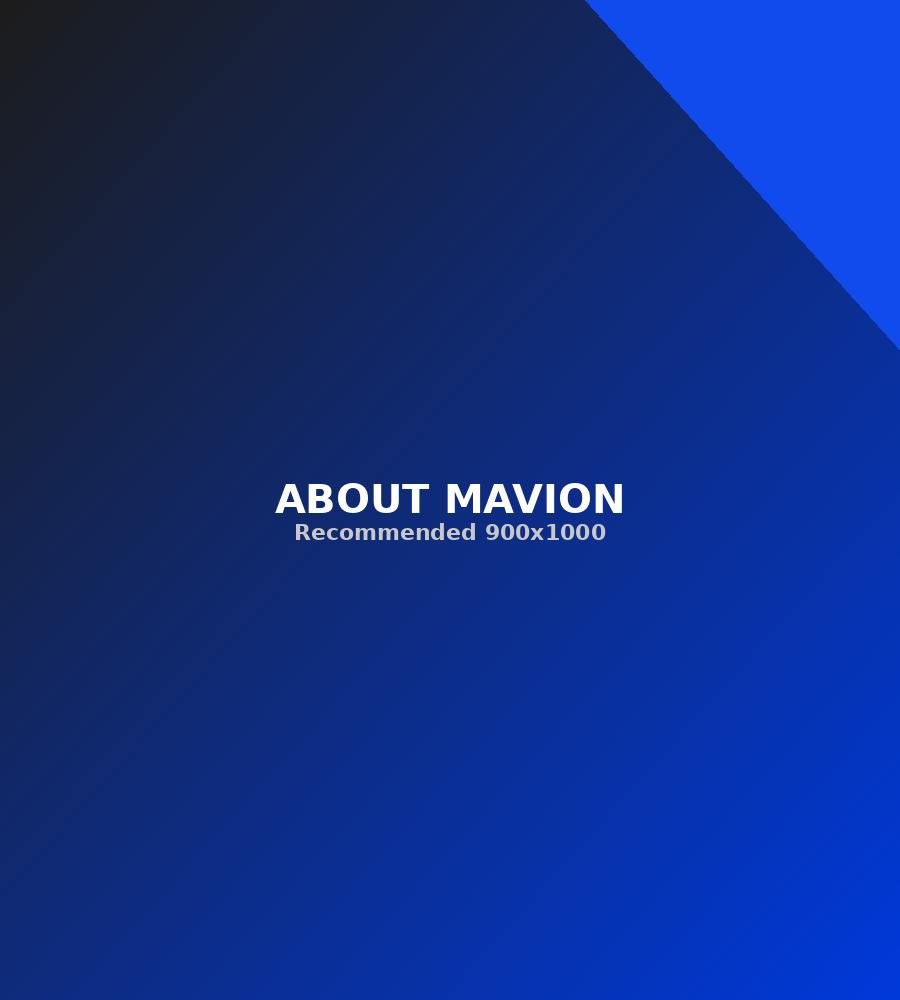 About Mavion IT Solutions